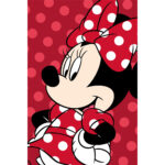 Disney Minnie Fleece Βελουτέ Κουβέρτα 50562